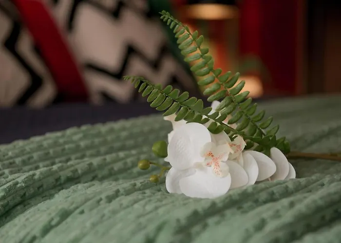 56 Direttamente Sul Mare - Red Tropical * Diano Marina